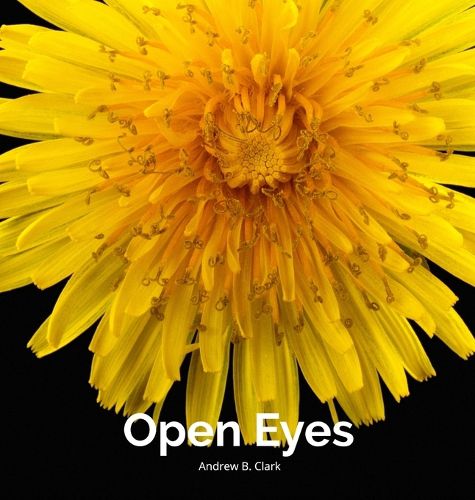 Cover image for Open Eyes Broken Voices