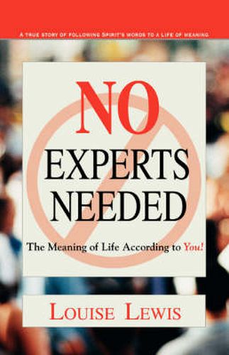 Cover image for No Experts Needed: The Meaning of Life According to You!