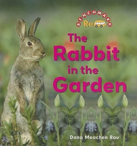 The Rabbit in the Garden