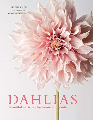 Cover image for Dahlias