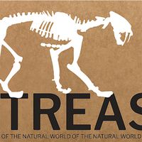 Cover image for Treasures of the Natural World