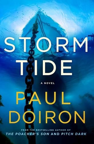 Cover image for Storm Tide