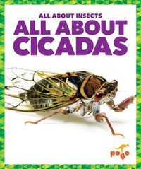 Cover image for All about Cicadas