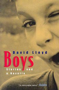 Cover image for Boys: Stories and a Novella