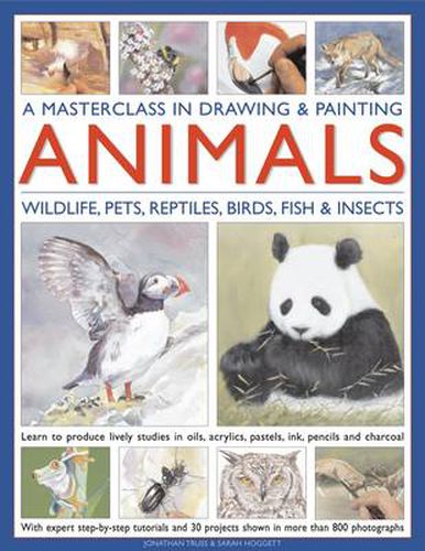 Cover image for Masterclass in Drawing & Painting Animals