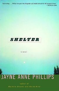 Cover image for Shelter: A Novel