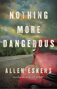 Cover image for Nothing More Dangerous