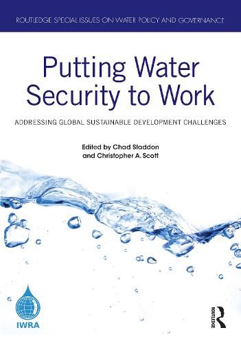 Cover image for Putting Water Security to Work: Addressing Global Sustainable Development Challenges