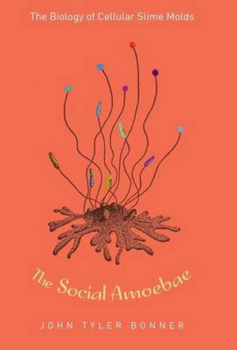 Cover image for The Social Amoebae: The Biology of Cellular Slime Molds