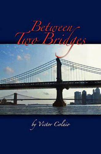 Cover image for Between Two Bridges