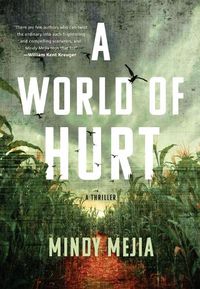 Cover image for A World of Hurt