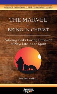 Cover image for The Marvel of Being in Christ: Adoring God's Loving Provision of New Life in the Spirit