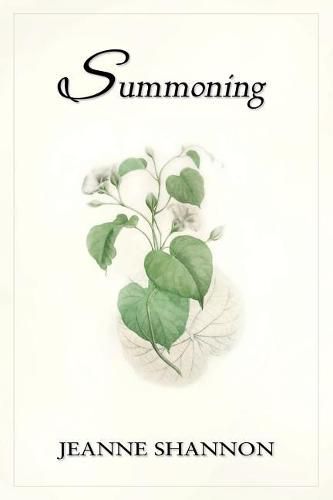 Cover image for Summoning