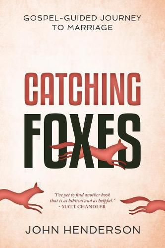 Cover image for Catching Foxes