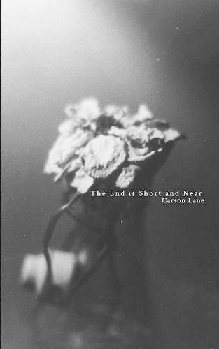 Cover image for The End is Short and Near