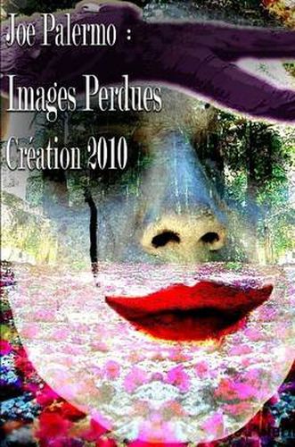 Cover image for Images Perdues