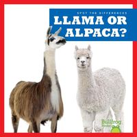 Cover image for Llama or Alpaca?