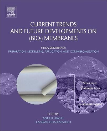 Cover image for Current Trends and Future Developments on (Bio-) Membranes: Silica Membranes: Preparation, Modelling, Application, and Commercialization