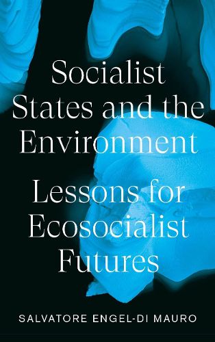 Cover image for Socialist States and the Environment: Lessons for Eco-Socialist Futures