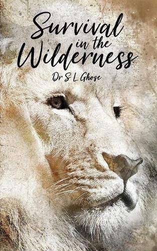 Cover image for Survival in the Wilderness