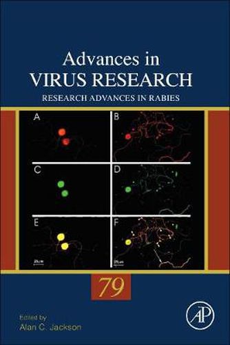 Cover image for Research Advances in Rabies