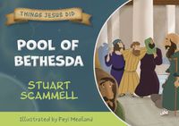 Cover image for Pool of Bethesda