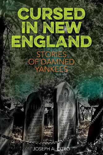 Cover image for Cursed in New England: More Stories of Damned Yankees