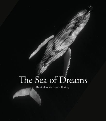 Cover image for Sea of Dreams: Baja California Natural Heritage