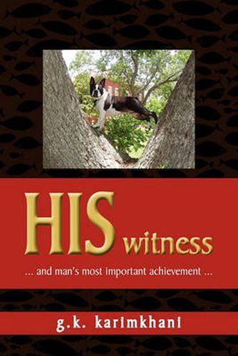 Cover image for HIS witness