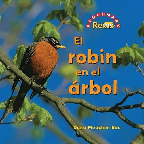 El Robin En El Arbol (the Robin in the Tree)