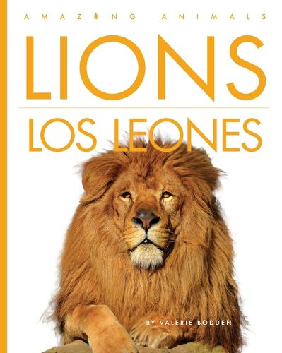 Cover image for Lions / Los Leones