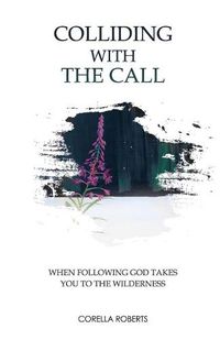 Cover image for Colliding with the Call: When Following God Takes You to the Wilderness