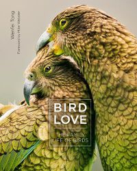 Cover image for Bird Love: The Family Life of Birds