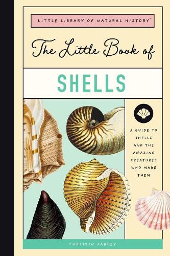 Little Book of Shells: A Kid's Guide to Shells and the Amazing Mollusks Who Make Them