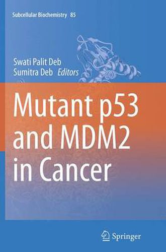 Cover image for Mutant p53 and MDM2 in Cancer