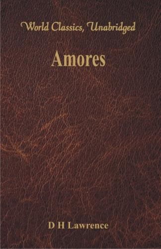 Cover image for Amores