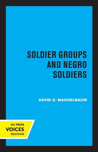 Cover image for Soldier Groups and Negro Soldiers