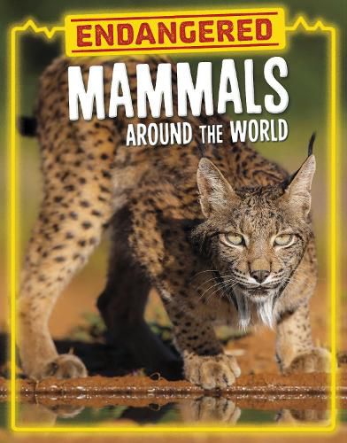 Cover image for Endangered Mammals Around the World