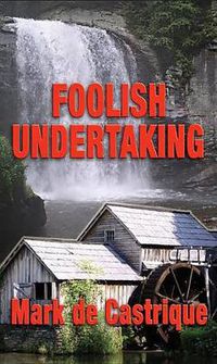 Cover image for Foolish Undertaking