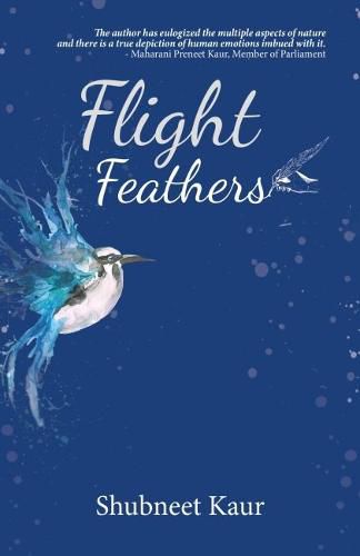 Cover image for Flight Feathers