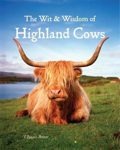 Cover image for Wit & Wisdom of Highland Cows