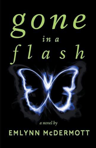 Cover image for Gone in a Flash