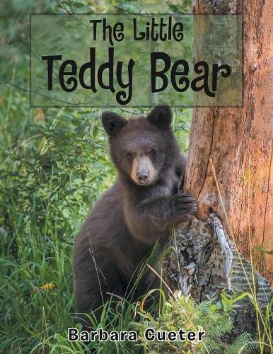 Cover image for The Little Teddy Bear