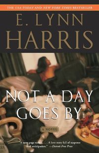 Cover image for Not a Day Goes By: A Novel