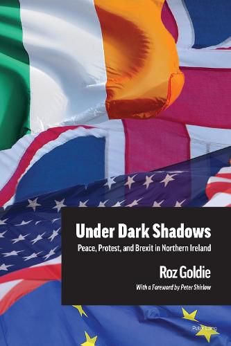 Cover image for Under Dark Shadows