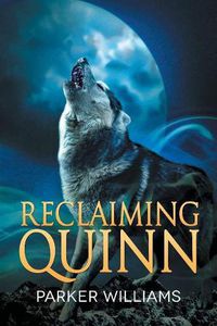 Cover image for Reclaiming Quinn