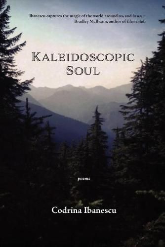 Cover image for Kaleidoscopic Soul: poems