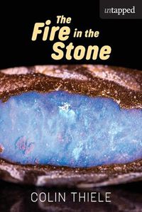 Cover image for The Fire in the Stone