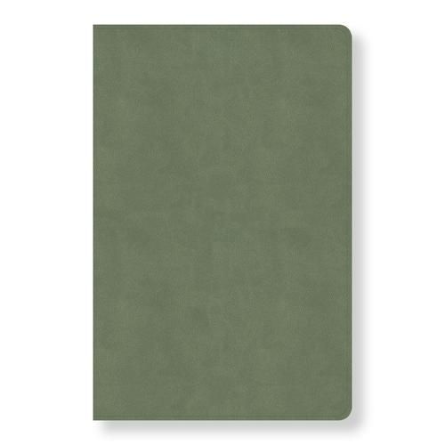 Cover image for CSB Every Day with Jesus Daily Bible, Sage LeatherTouch