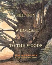 Cover image for The Boy Who Ran to the Woods